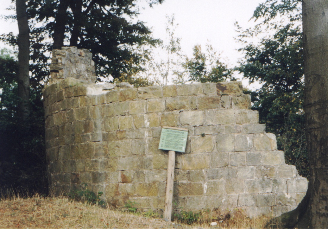 Foto von Ruine Falkenburg